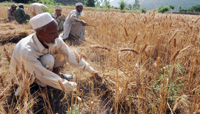 Pakistan’s poor farmers face uphill battle with climate extremes
