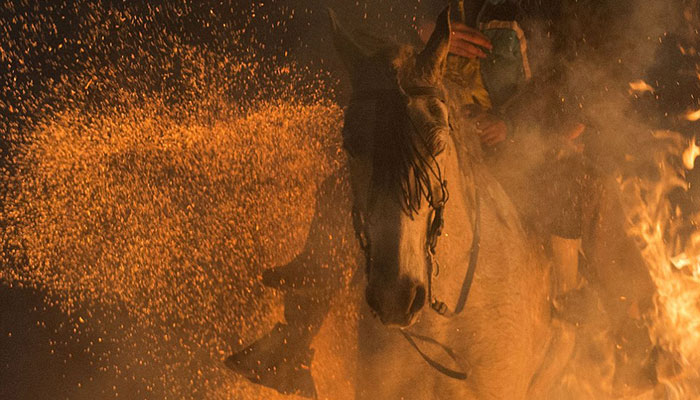 Horses leap through fire in this Spanish tradition