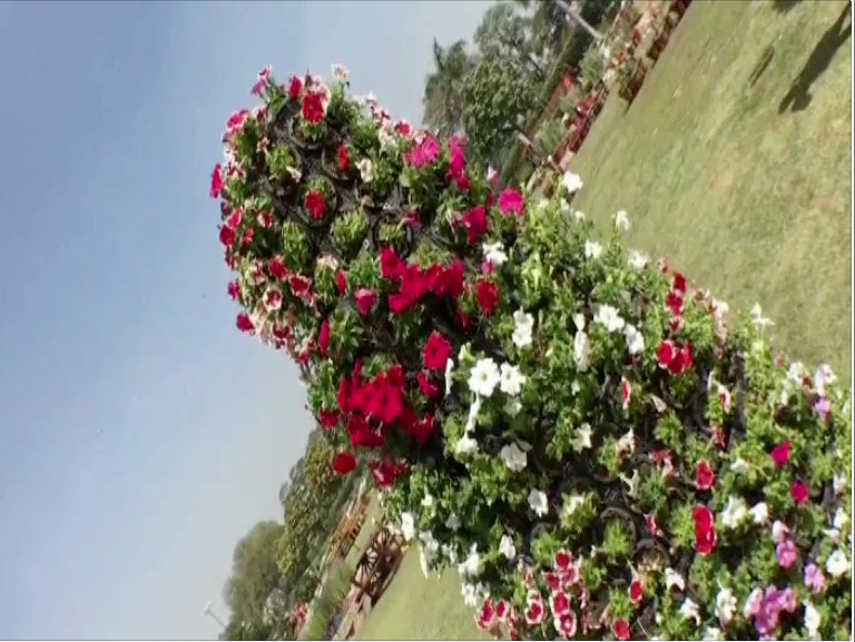 Flowers galore as Lahore welcomes spring