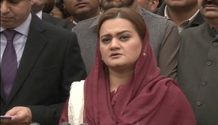 Panama Case: No evidence against PM, action against children not possible: Raja