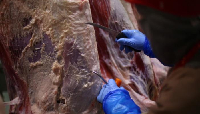 A worker cuts-up beef at a SuKarne meat processing facility in the town of Vista Hermosa, in Michoacan state, Mexico, March 31, 2017. Picture taken March 31, 2017. REUTERS/Edgard Garrido