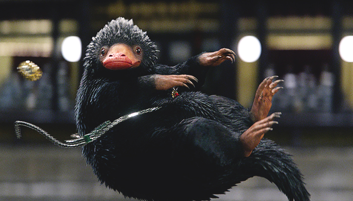 Picture of a Niffler
