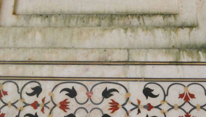 Insect poo is leaving green patches on the Taj Mahal- Vivek Jain