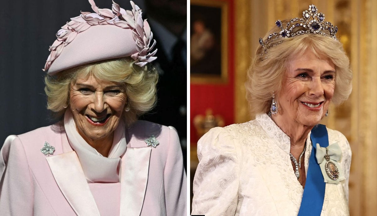 Royal fans miss out Camilla's expensive ink during Nigeria State Banquet