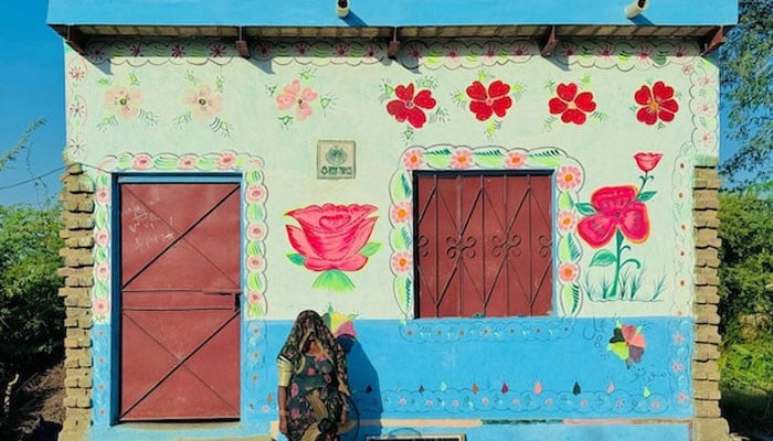 Running on sunshine: Pakistan's solar boom to tide over Middle East energy crisis