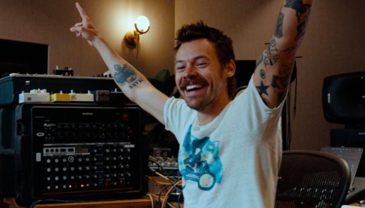 Harry Styles fans divided over surprising discovery about singer