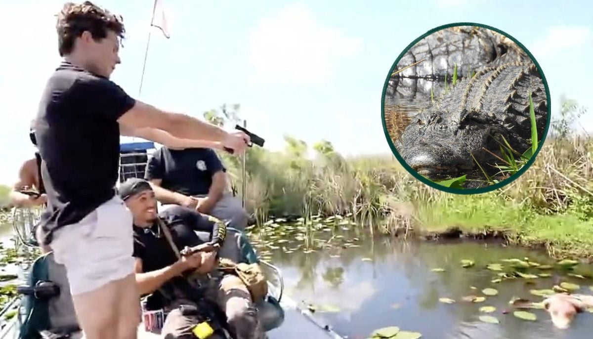 Who is Clavicular? Lookmaxxing influencer arrested in Florida after shooting alligator 