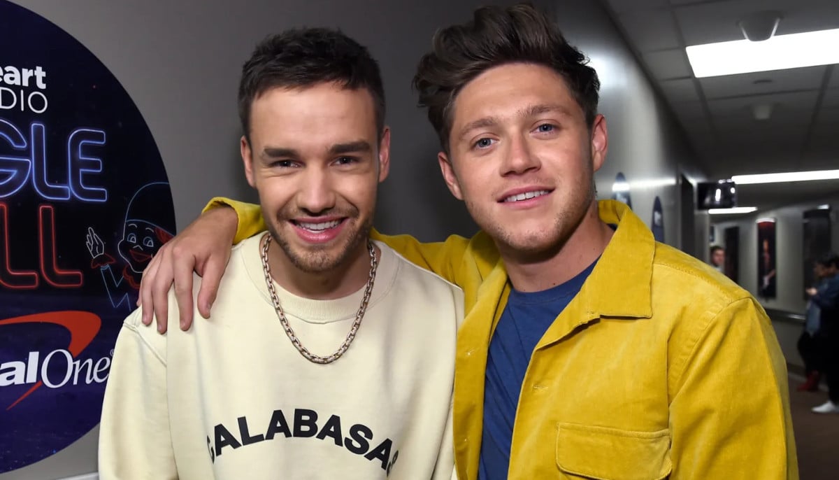 Niall Horan gives fans a glimpse into upcoming song about Liam Payne