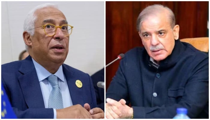 In phone call with PM Shehbaz, EU Council chief hails Pakistan's Mideast peace push