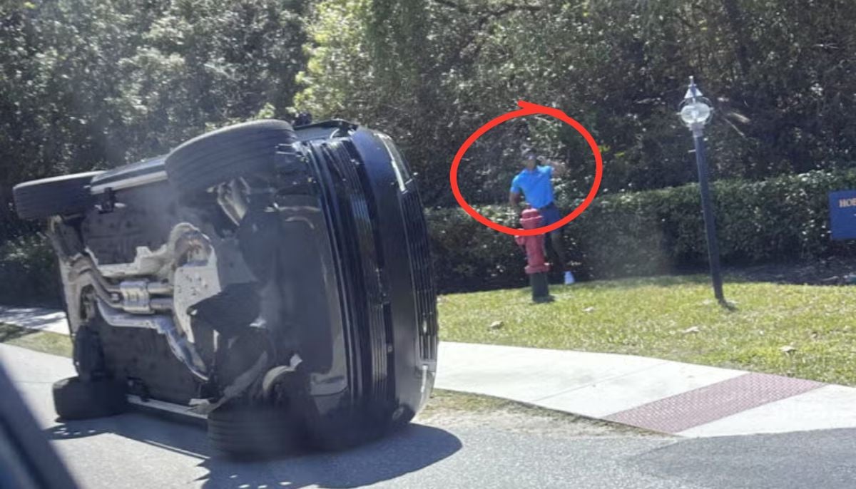 ‘Cops found opioids in Tiger Woods's pocket': Inside his stunning DUI arrest