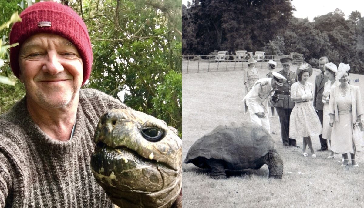 Jonathan, world's oldest known land animal falsely named in viral crypto death hoax