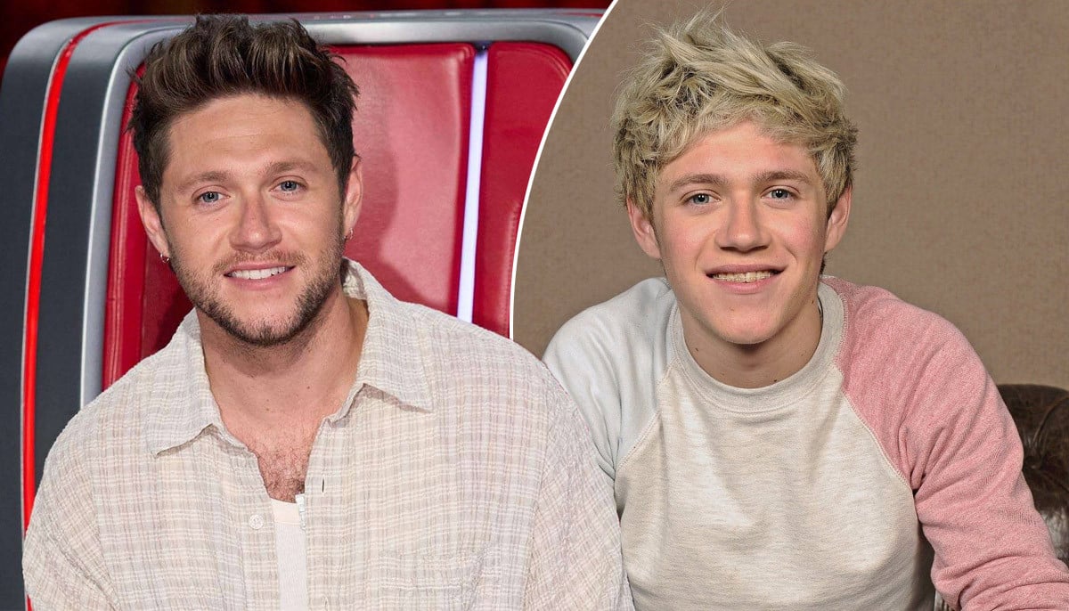Niall Horan reveals One Direction song he 'absolutely hate'