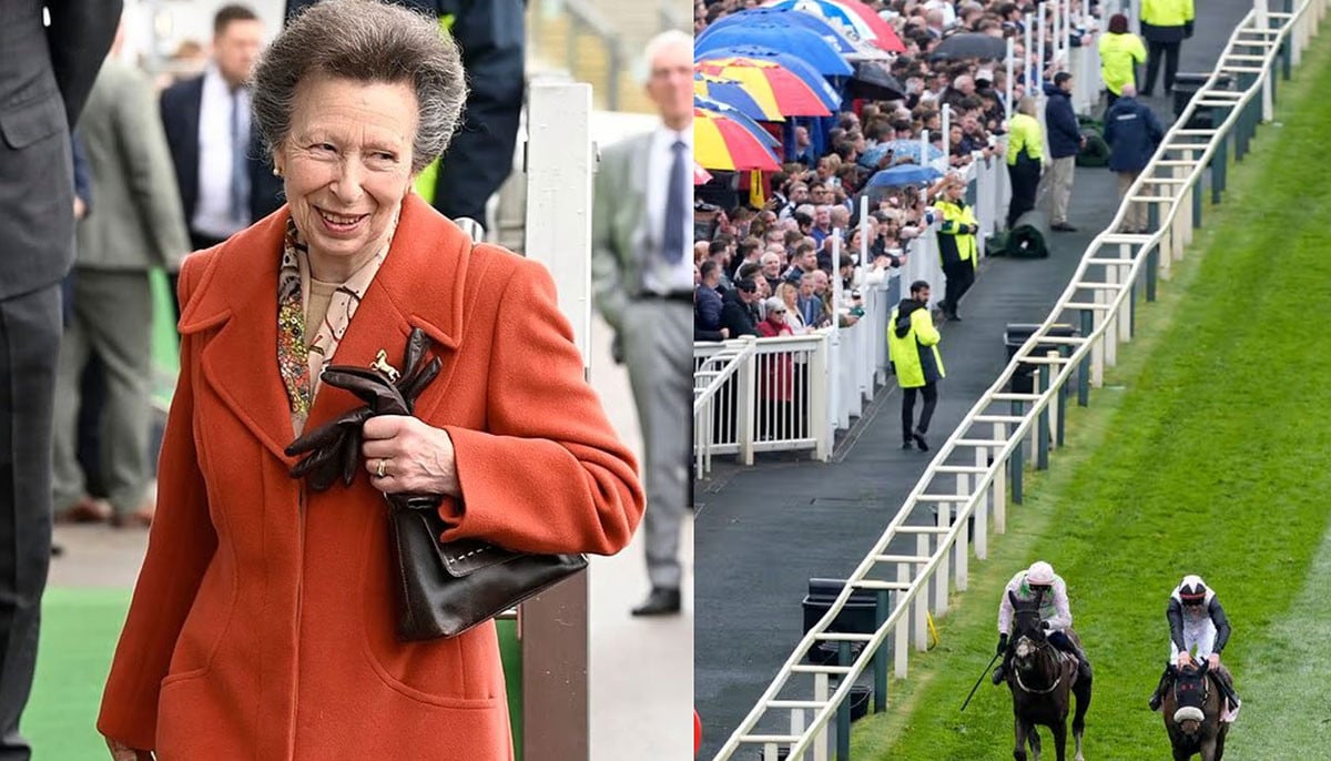 Princess Anne adds an orange splash to eainy Aintree races