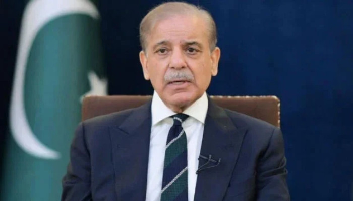 PM Shehbaz addresses nation on fuel prices and petroleum stocks