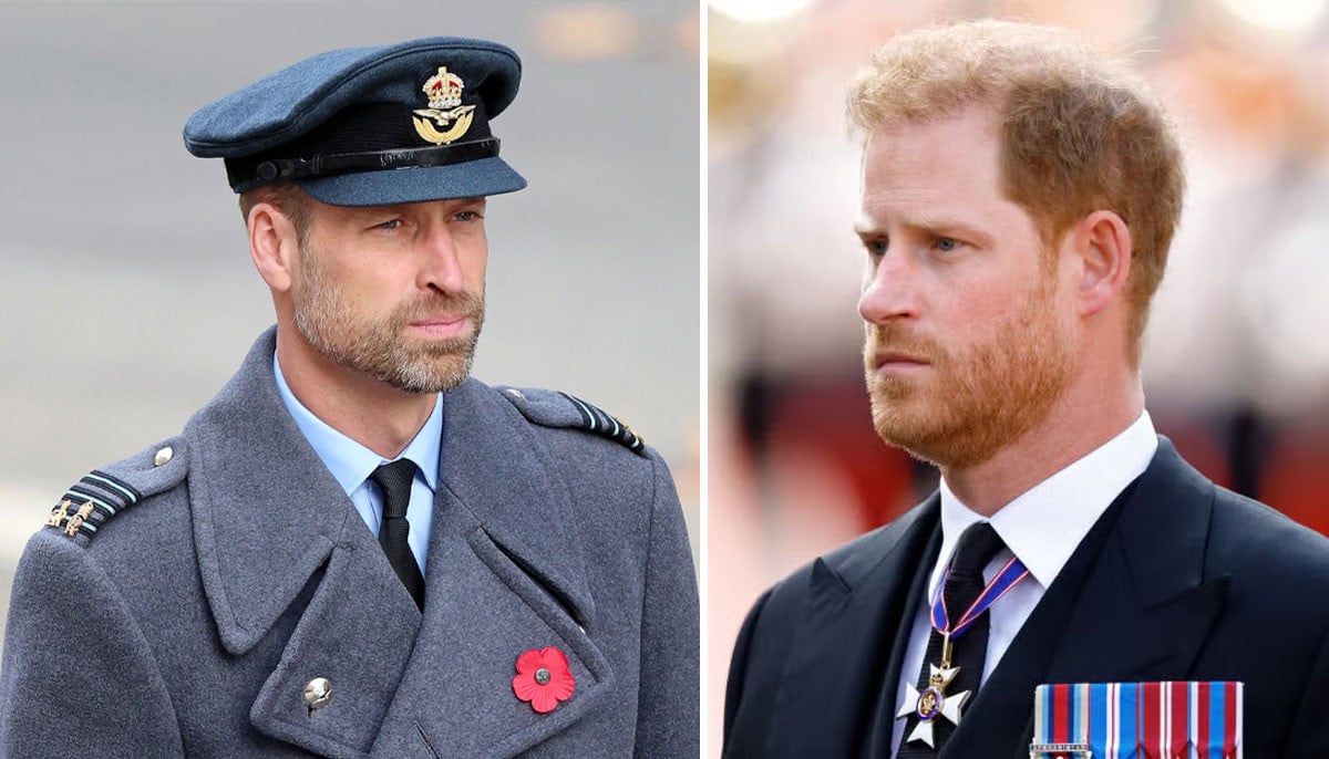 Prince William makes final call on Harry's arrival at Palace 