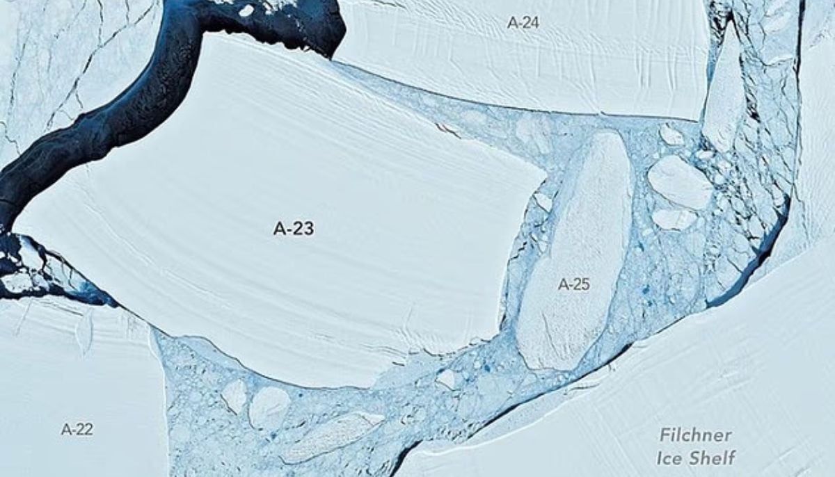 World's largest iceberg A-23A breaks apart ahead of its 40th birthday
