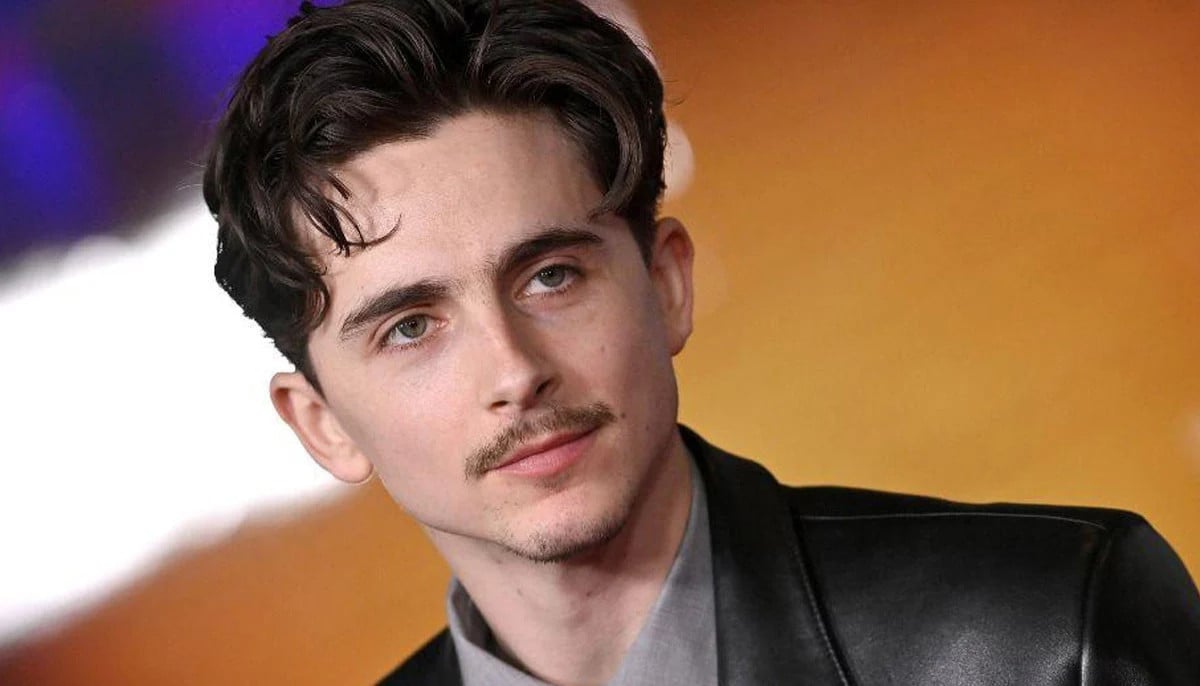 Timothée Chalamet criticism leads to unexpected rise in theatre