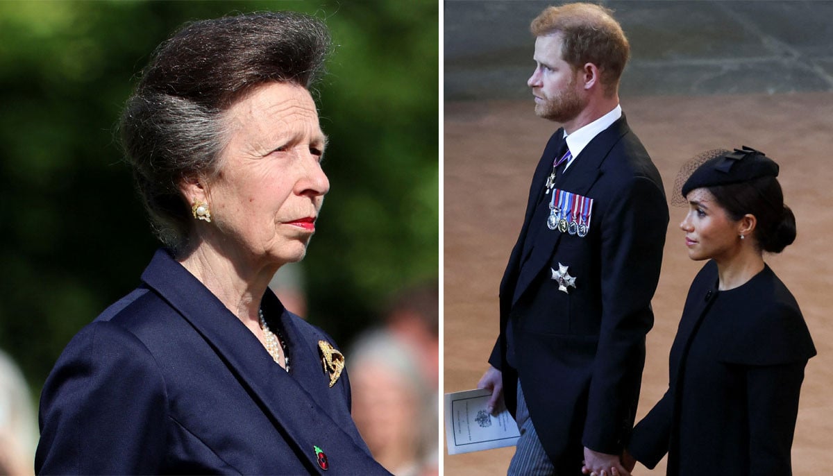 Princess Anne receives concerning news after Harry, Meghan key appeal