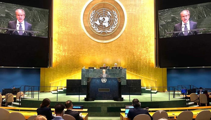 Pakistan calls for swift restoration of Strait of Hormuz shipping at UN