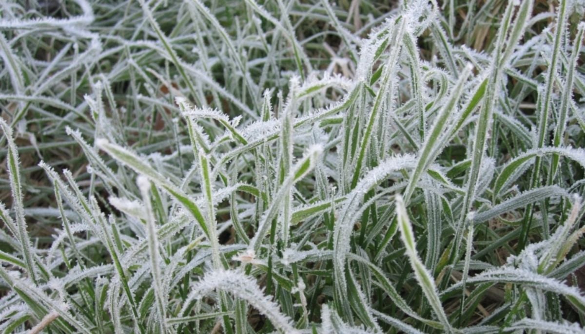 Freeze watch issued across US: Here's complete list of affected areas 