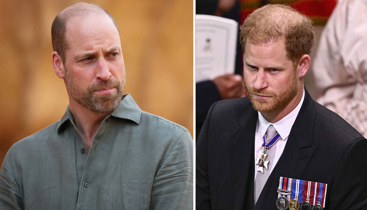 Prince William turns down Harry's plea: 'No more extra royals' 