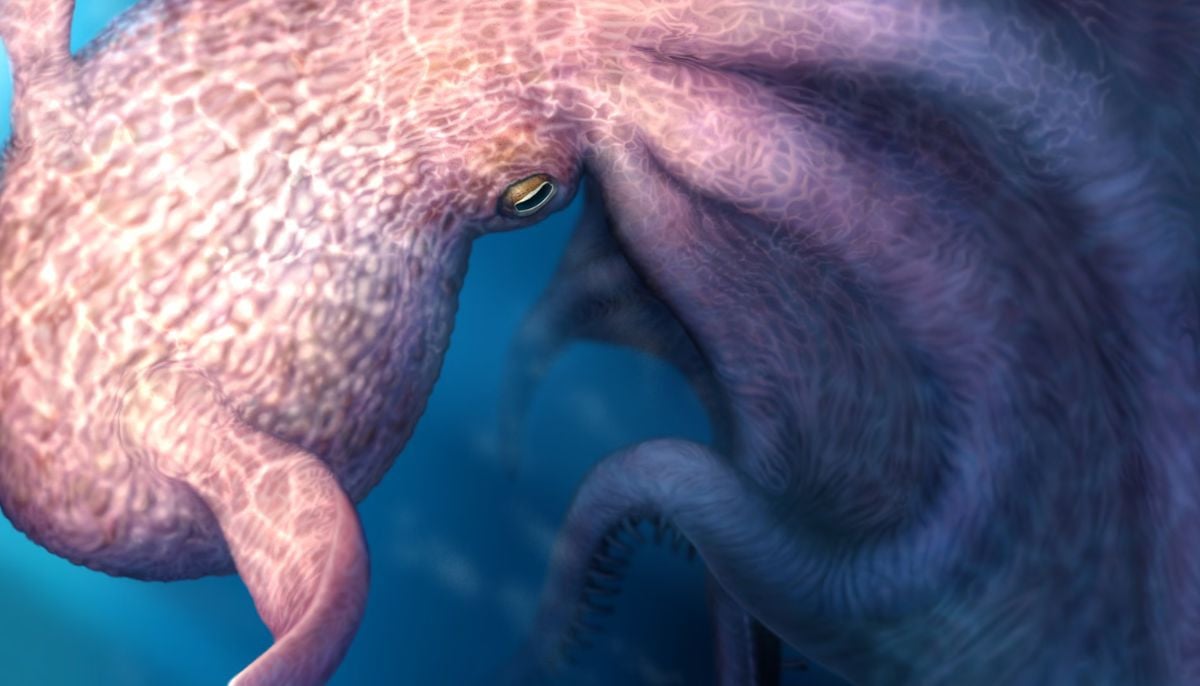 Did 19-meter Kraken-like octopus really exist? Study reveals surprising findings
