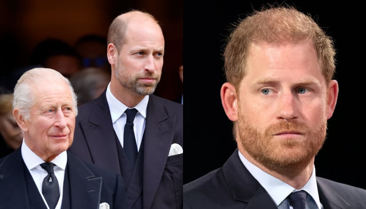 King Charles declines Prince Harry offer to support William's mission