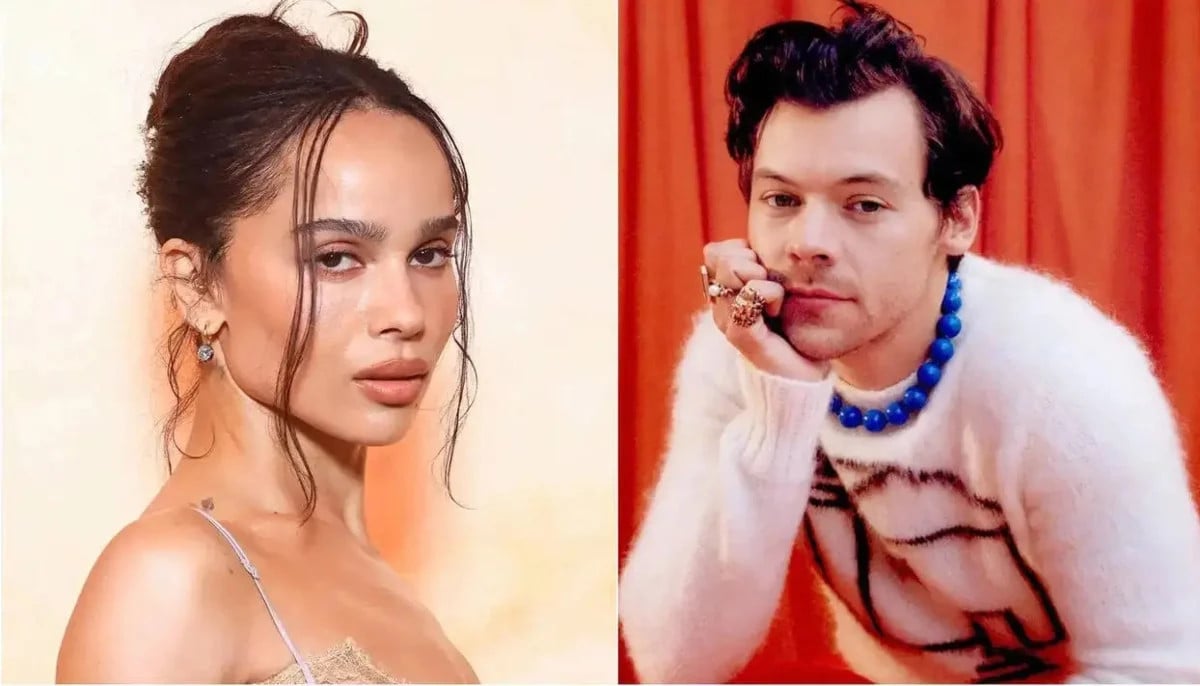 Are Harry Styles and Zoe Kravitz planning for a baby together?
