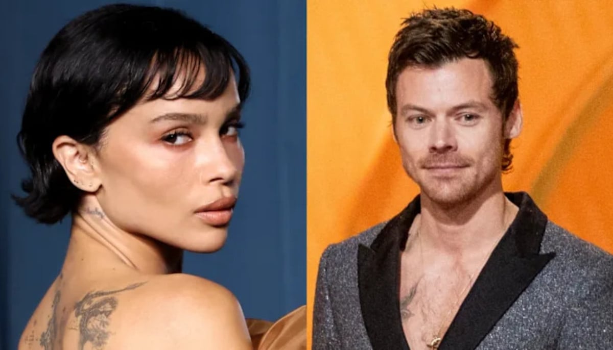 Harry Styles and Zoe Kravitz take major step after 8 months of dating