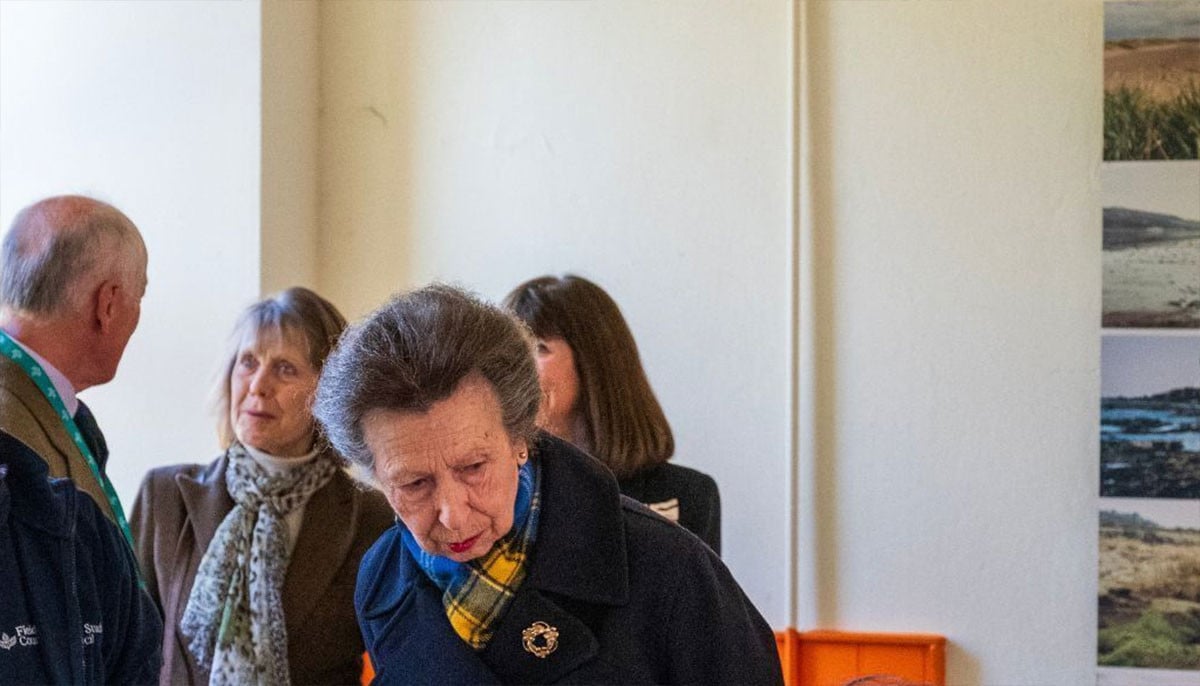 Princess Anne brings star power to London's cultural stage in emerald green