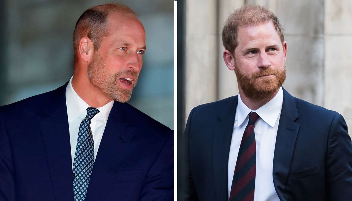Prince William talks ‘rare privilege' after Harry's moving essay
