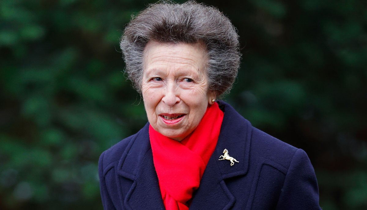 Princess Anne kicks off next phase of key project amid new royal crisis