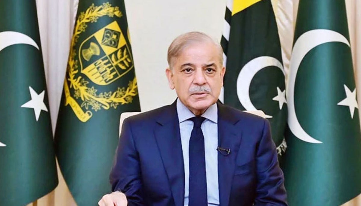 Pakistan seeks peace but resolute in defending sovereignty: PM Shehbaz