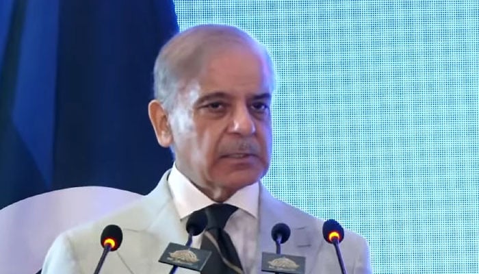 'Stood like a rock': PM Shehbaz hails China's steadfast support for Pakistan