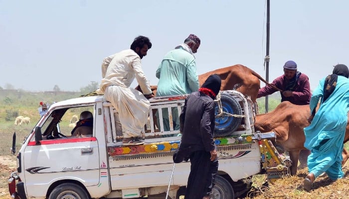 Eid ul Adha: Sindh announces four-day holiday
