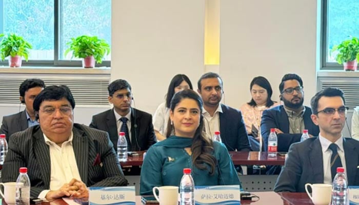 Enduring Pakistan-China friendship symbolises regional stability, prosperity: MPA Sarah Ahmad