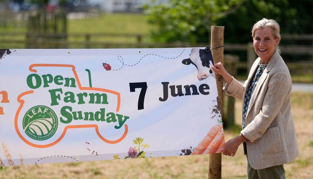 Duchess Sophie goes into 'farmer mode' in Hampshire