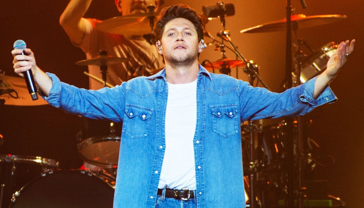 Niall Horan thanks fans after latest dinner party: 'What a night!'