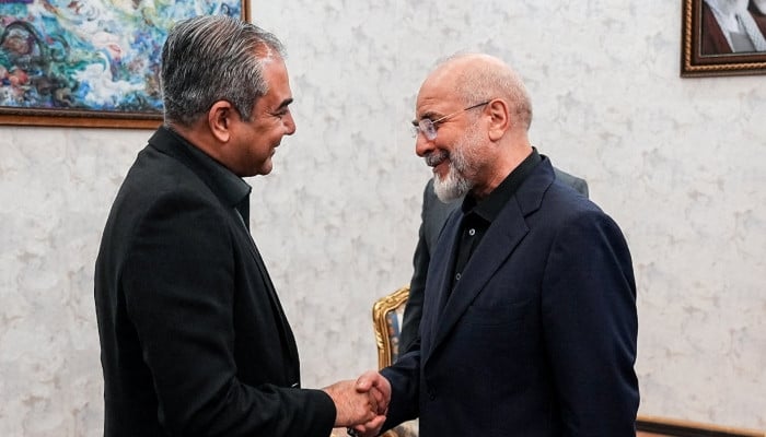 Interior Minister Naqvi reaches Tehran amid Pakistan's push to revive US-Iran talks: sources