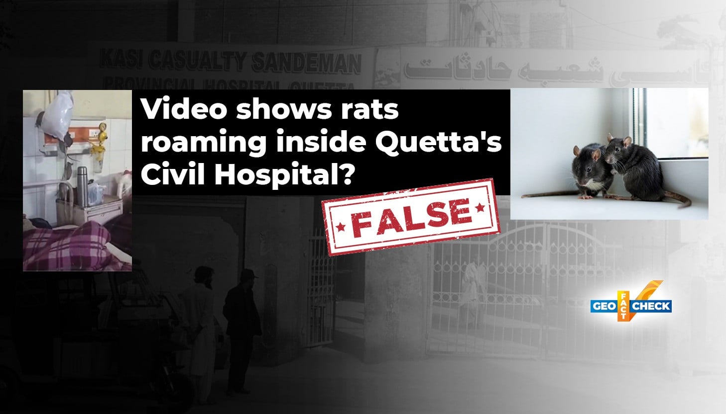Fact-check: Viral video of rats in hospital was filmed in India, not Quetta's Civil Hospital