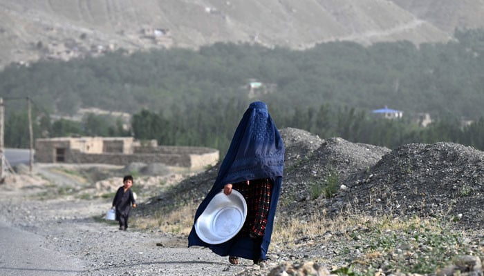 UN experts condemn crackdown on women by Afghan morality police