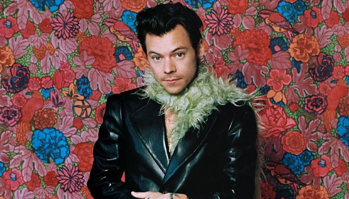 Harry Styles welcomes fans as Meltdown Festival begins