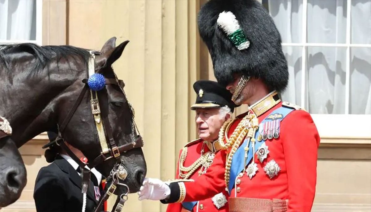 King Charles and Prince William horse around in sweet royal moment