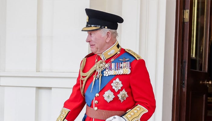 Buckingham Palace lifts the curtain on King's birthday parade with rare pictures