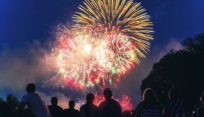 Which flights are affected by America's 250th anniversary celebrations? See full list