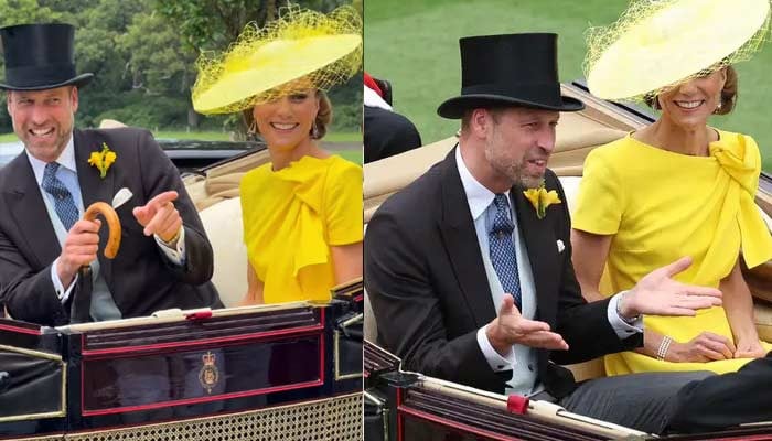 Princess Kate shows off grace, elegance after Meghan's announcement