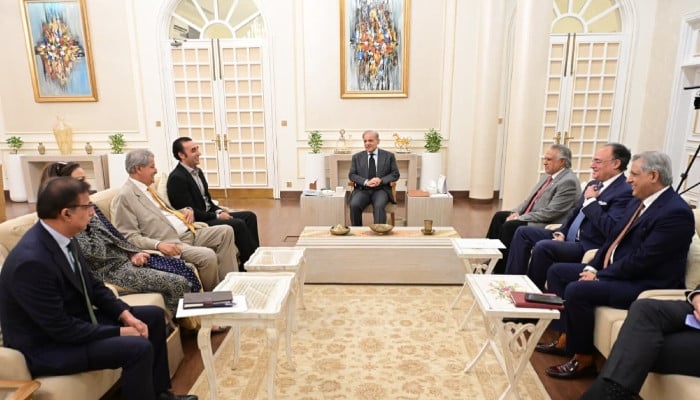 In meeting with Bilawal, PM Shehbaz stresses effective Centre-provinces cooperation