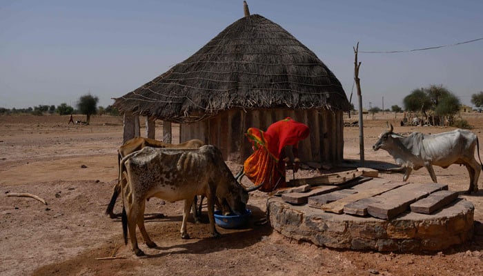 India learns to live with hotter summers