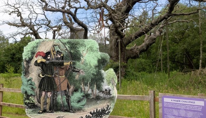 Sherwood Forest's 1,000-year-old Major Oak is dead: have long, dry summers taken their toll?