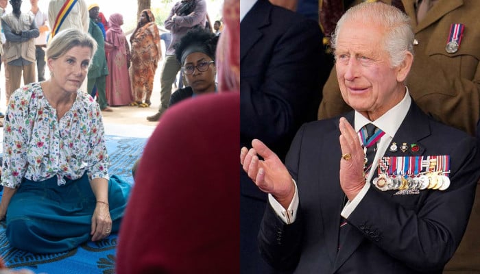 King Charles backs Duchess Sophie fight for women's rights in new message